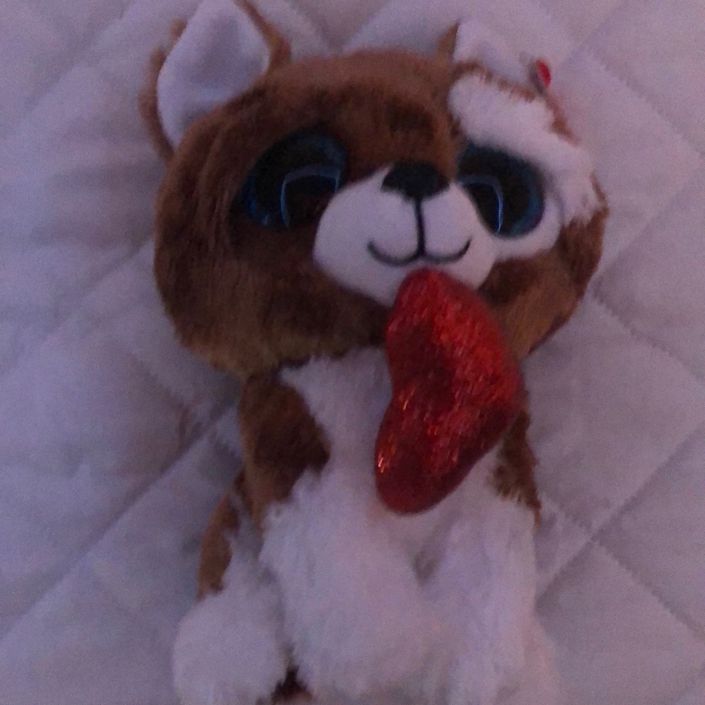 Brand new beanie boo